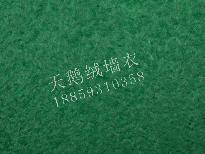 E004.jpg