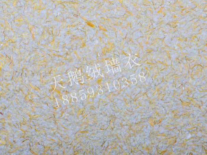 C032.jpg