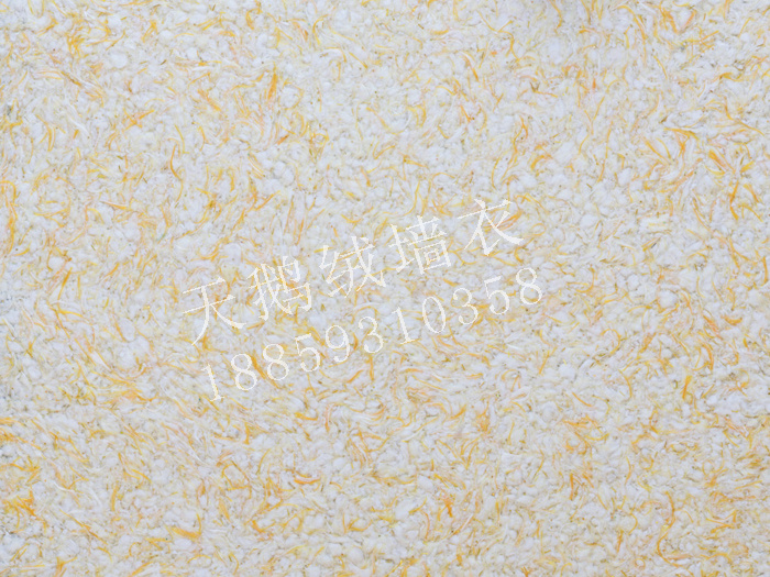 C006.jpg