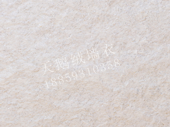 B026.jpg