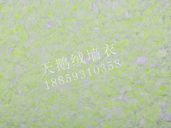 B013.jpg