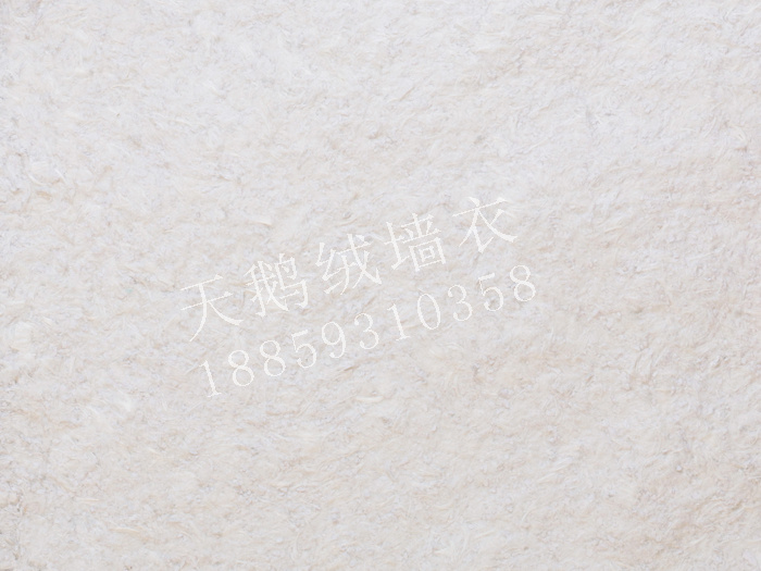 A014.jpg