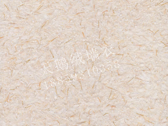 TS1029.jpg