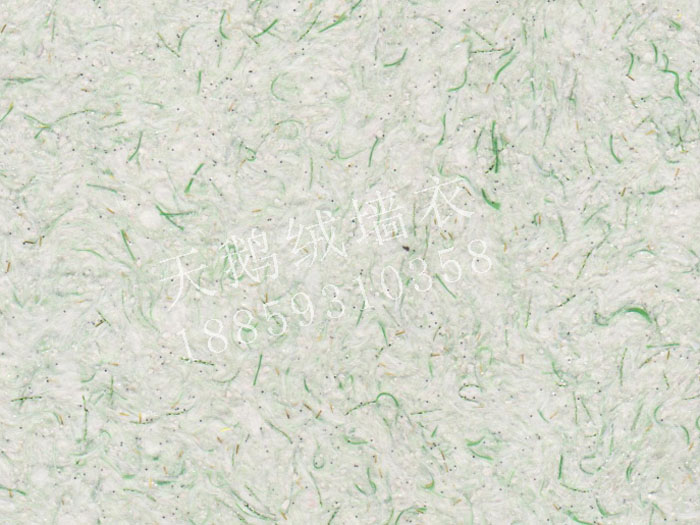 TS1018.jpg