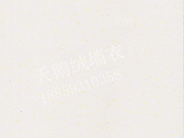 YS67.jpg