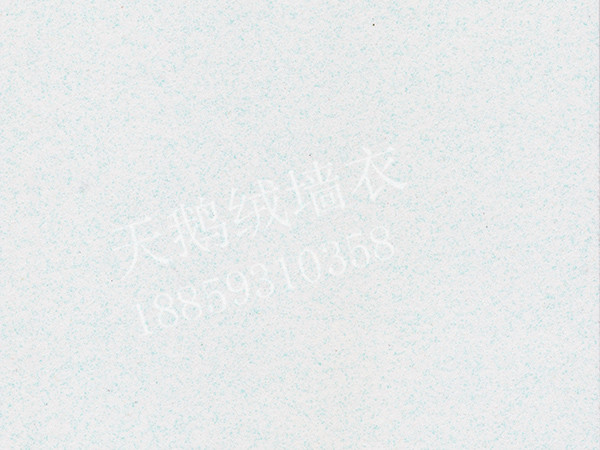 YS60.jpg