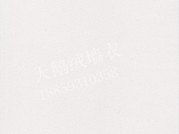 YS12.jpg