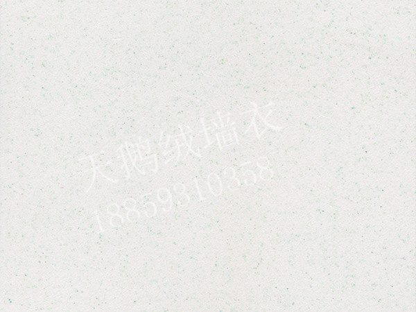 YS08.jpg